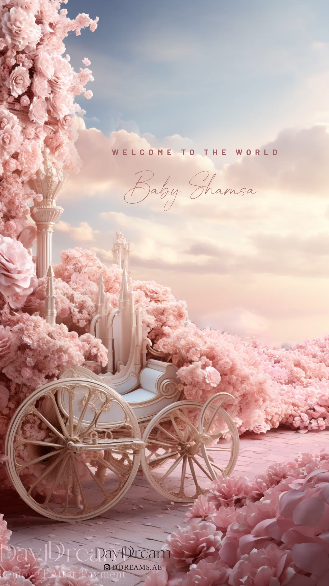 Magical Carriage Path