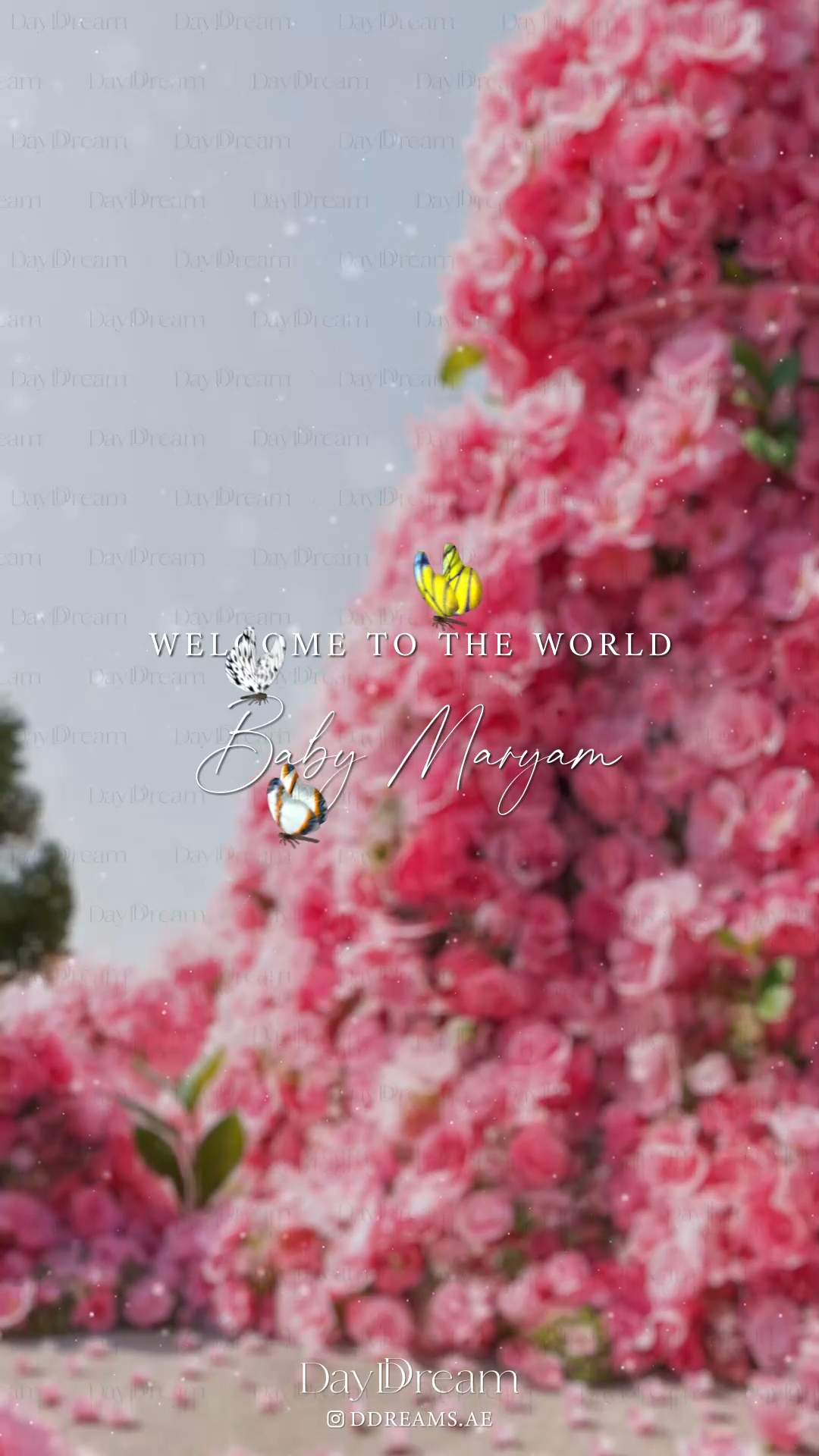 Blossomed Into Our Hearts